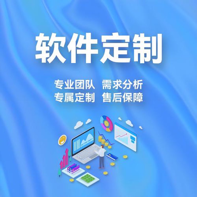 软件定制：企业信息化的新航标